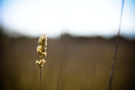 3213026751_b8a0e7a159_b