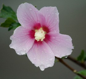 3408744960_dbf8e4f82a_z