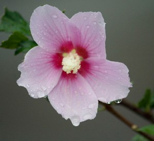 3408744960_dbf8e4f82a_z